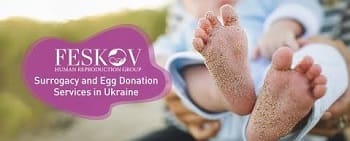 how surrogacy agency works